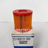 Air Filter Scr Pn 25100010-002